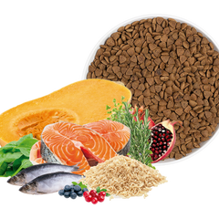 Collection image for: Alimento Seco