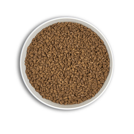 ERA Millennium Salmón y Arenque con arroz integral para raza mediana y grande