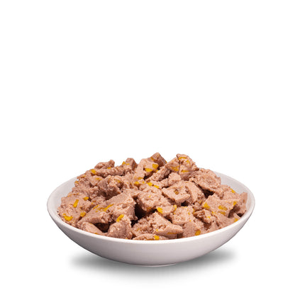 ERA Sybarite Puppy Turkey with Sweet Potatoes