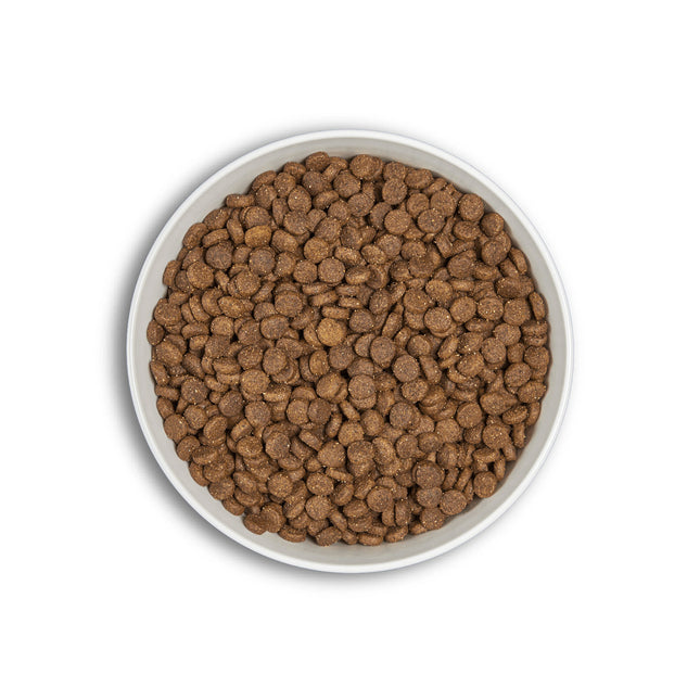 ERA Millennium Puppy Pollo y Pavo con arroz integral para raza mediana y grande