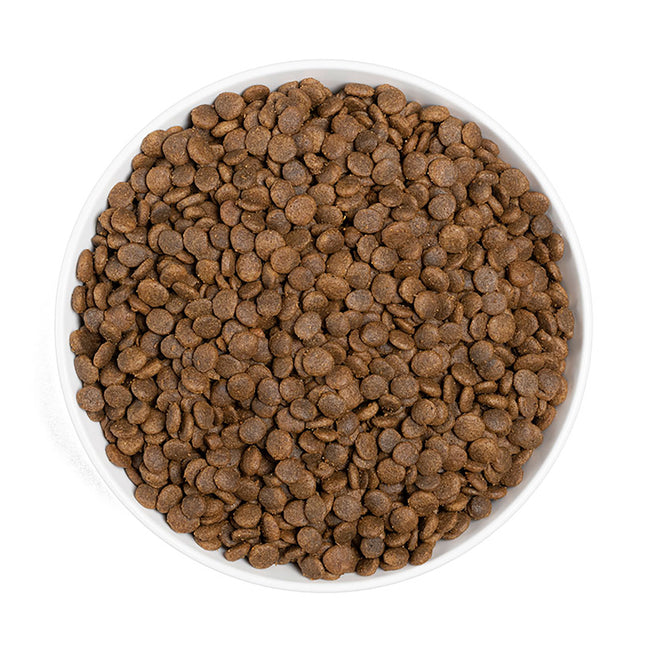 ERA Grain Free Salmón y Pavo