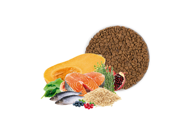 Banner image for: <h4>Alimento Seco</h4>