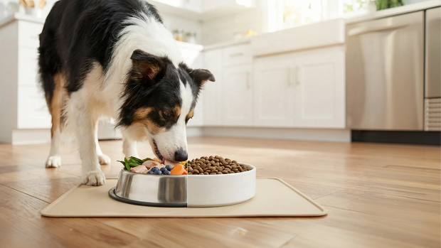 Banner image for: <h2>Garantiza una <br/>vida saludable a tu<br/>mascota con <br/>nuestras fórmulas</h2>