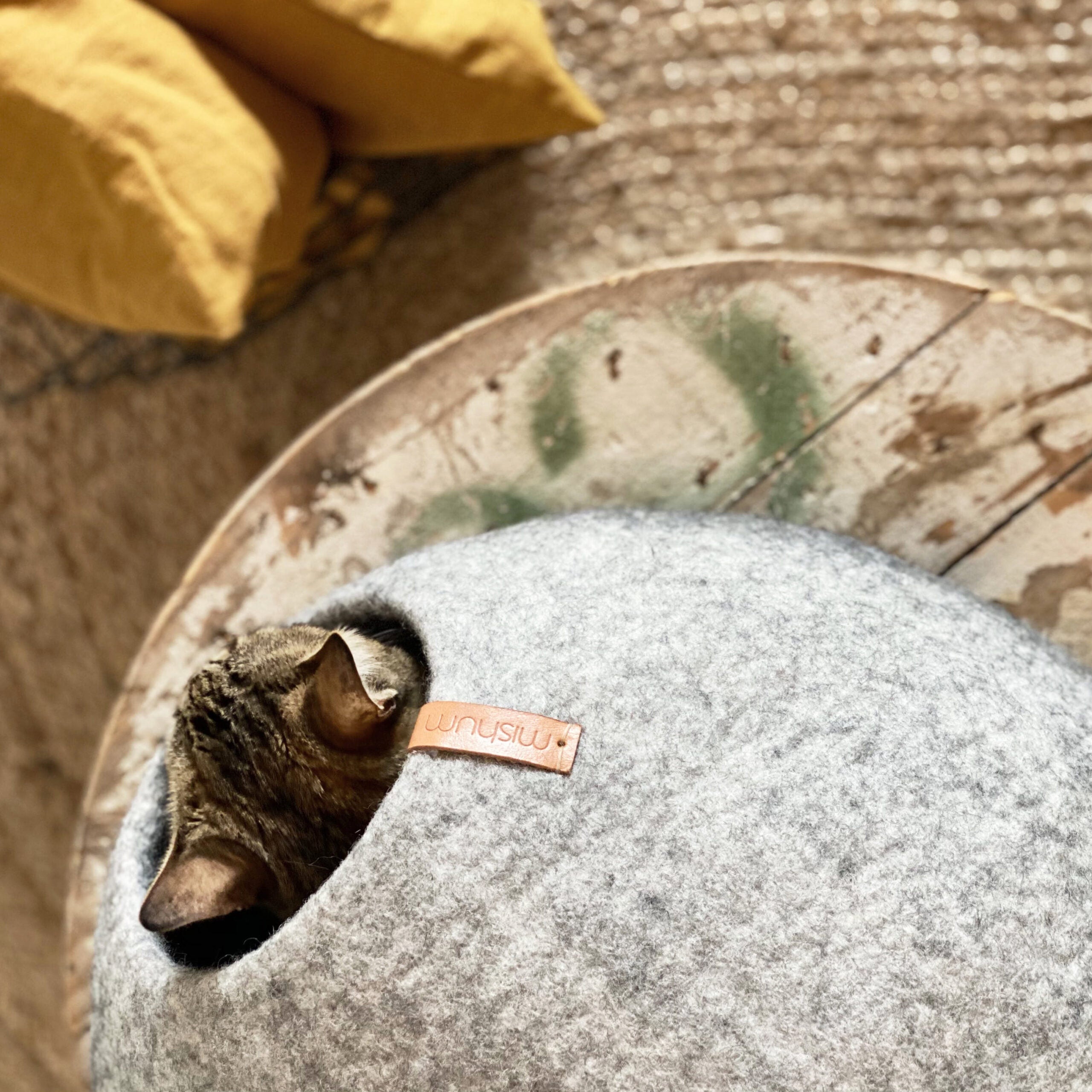 Rita cave for cats