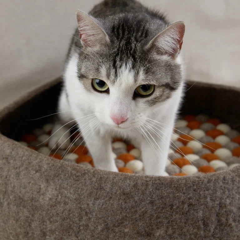 Cama Simona para perros y gatos