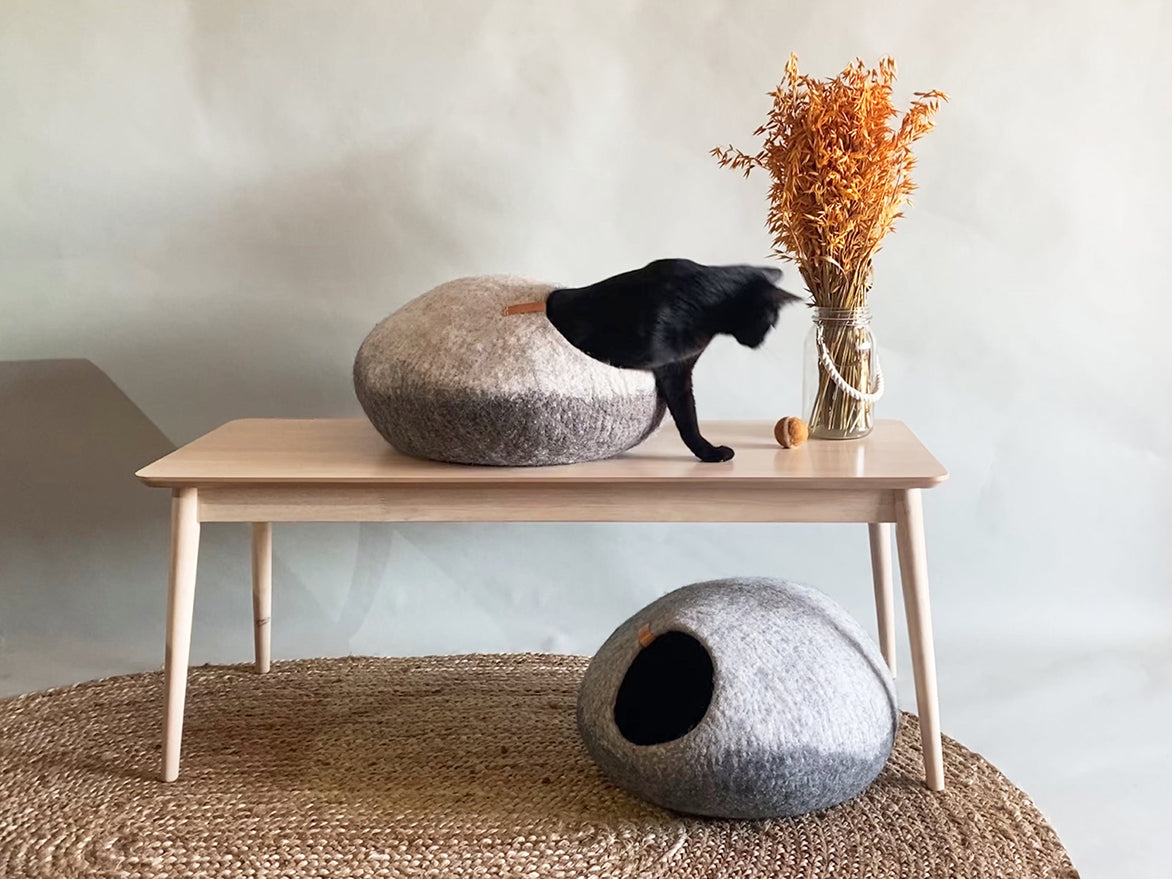 Rita cave for cats