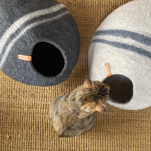 Petra cave for cats